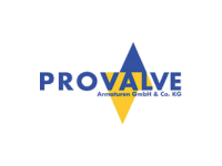 Company name